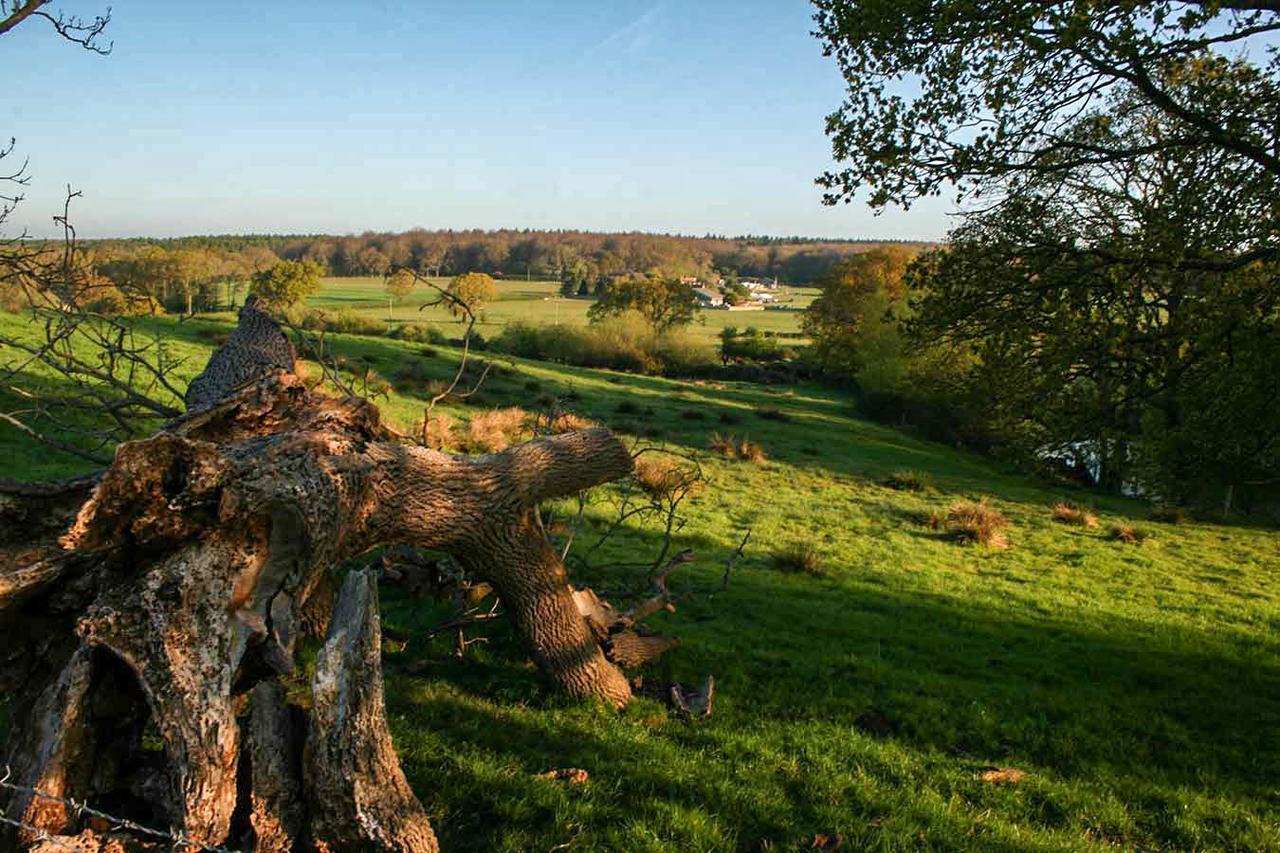 Old Selden Farm B&B Clapham  Zewnętrze zdjęcie