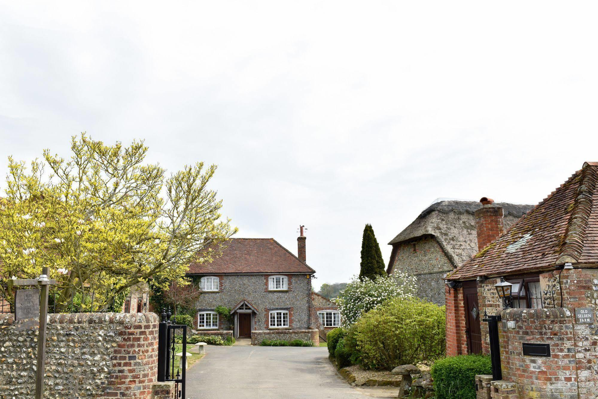 Old Selden Farm B&B Clapham  Zewnętrze zdjęcie